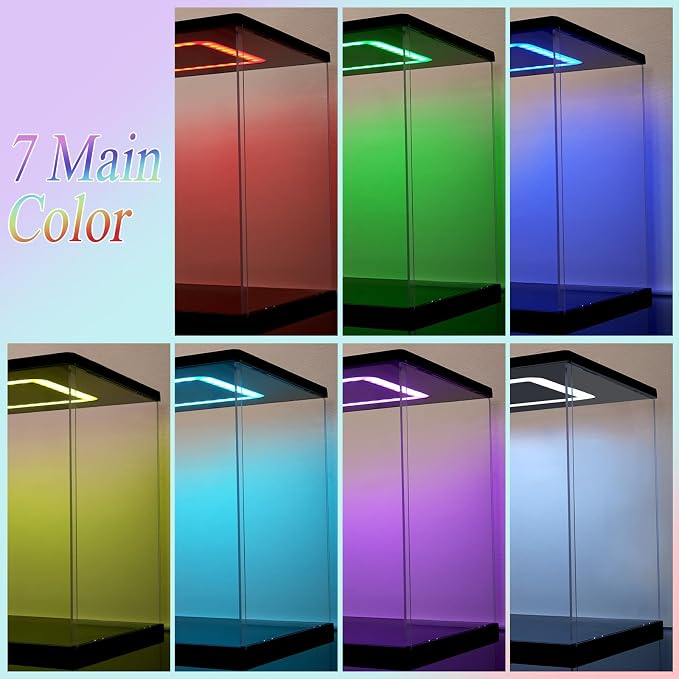 Clear Acrylic Display Case - Image 5