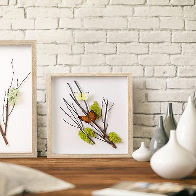 8x8 Shadow Box Frame Display Case - Image 4