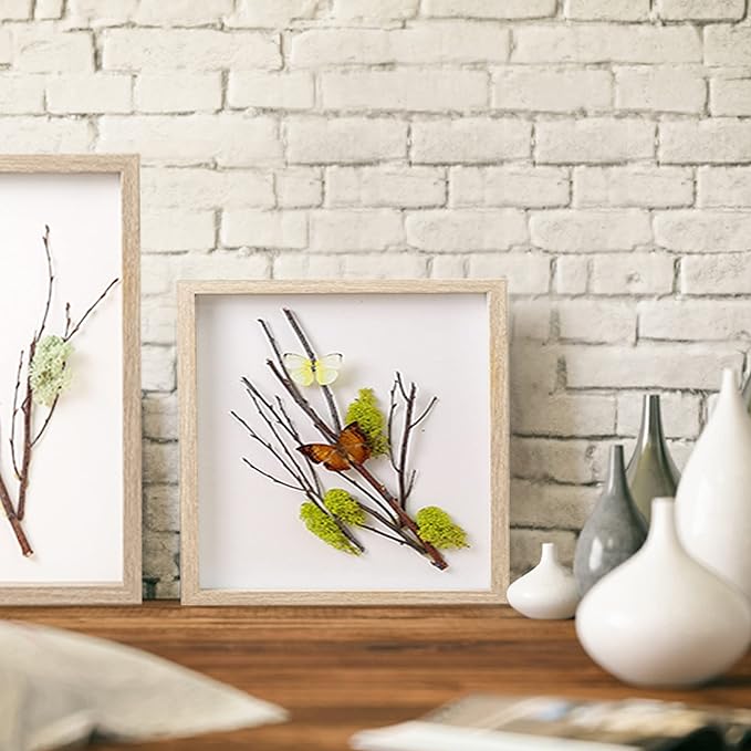 5x5 Small Shadow Box Frame Display Case, Display Case Box - Image 4