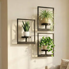 Picture Frame Wall Planters Set of 3, Modern Metal Hanging Shelves by Bbteroiu