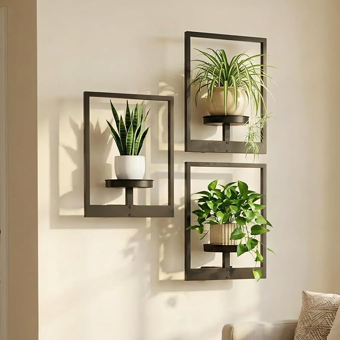 Picture Frame Wall Planters Set of 3, Modern Metal Hanging Shelves by Bbteroiu