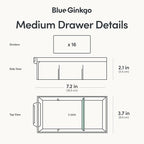 Blue Ginkgo Medium 16-Drawer Cabinet – Stackable Clear Organizer - Image 4