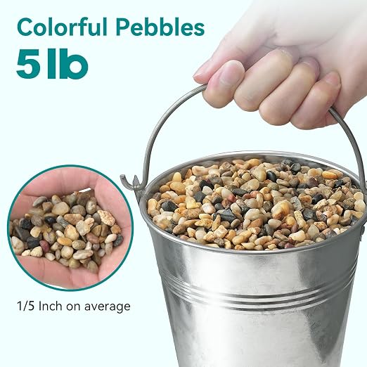 5 lbs Small Rocks for Plants, 1/5 Inch Gravel for Plants Drainage, Decorative - Image 2