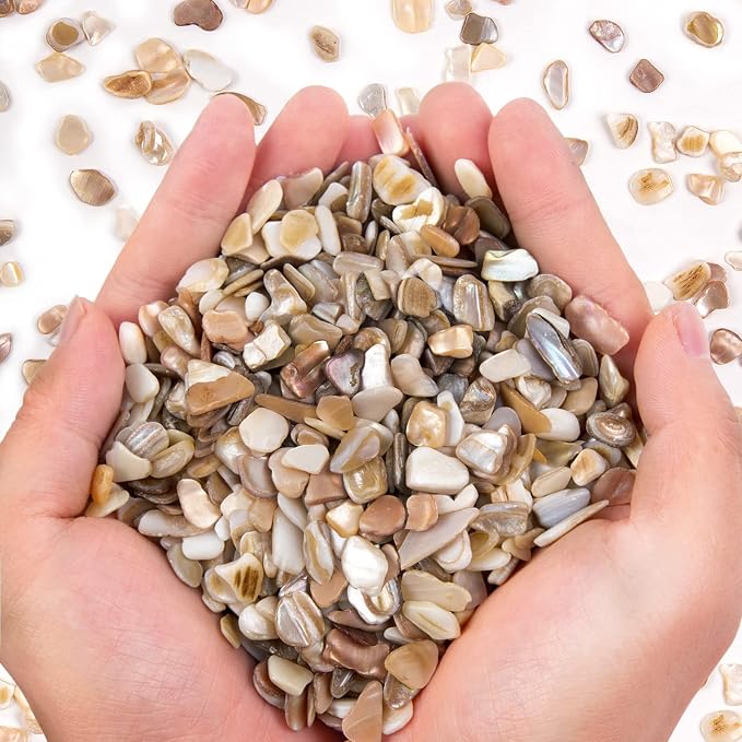 QICQDRAM Crushed Shells for Crafts About 2LB Small Natural Crushed Shells Bulk by QICQDRAM
