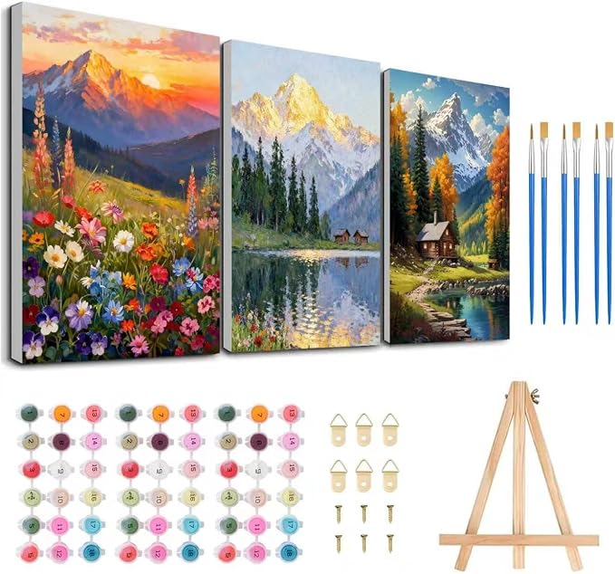 3 Pack Framed Paint by Numbers for Adult by MeothanDiamondPainting