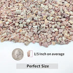 YISZM 2LB Succulent and Cactus Gravel Pebbles, 1/5 Inch Natural Decorative - Image 2