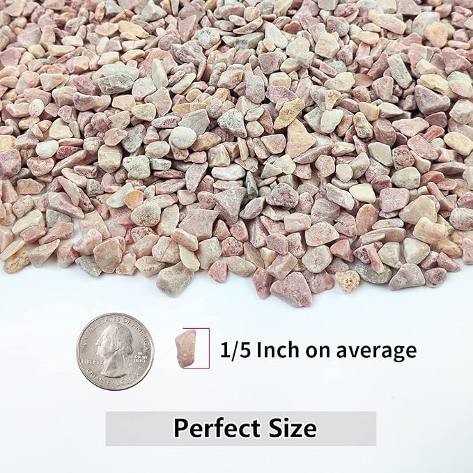 YISZM 2LB Succulent and Cactus Gravel Pebbles, 1/5 Inch Natural Decorative - Image 2