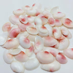 PEPPERLONELY Pink Clam Sea Shells, 4 OZ Apprx. 70 PC Shells, 1 Inch ~ 1-7/8 Inch - Image 2