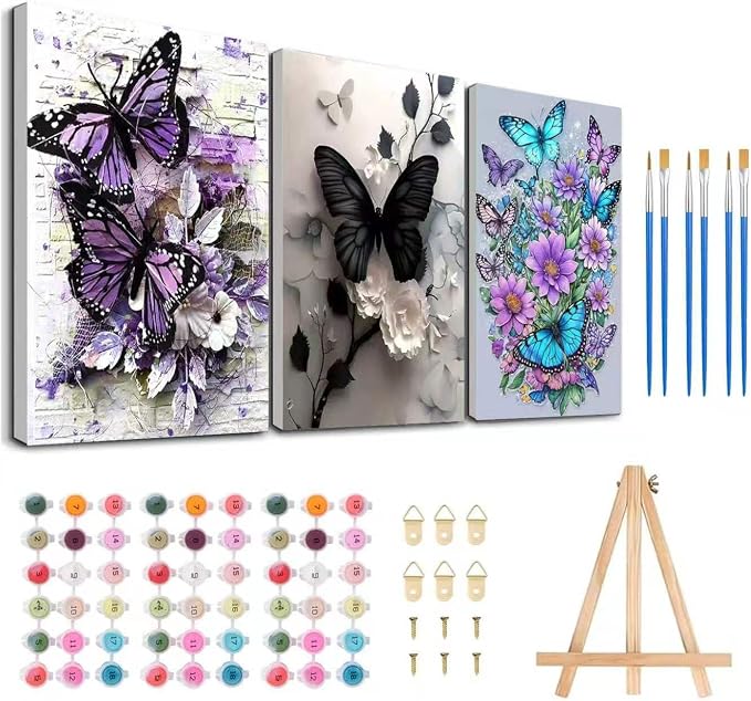 3 Pack Framed Paint by Numbers Butterfly by MeothanDiamondPainting