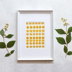 Nuanchu 120 Pcs Dried Pressed Flowers Daisies Pressed Dried Daisy Stickers - Image 7