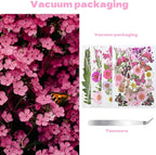 Dried Flowers for Resin 116Pcs | Pink Real Natural Pressed Flowers - Image 5