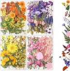 80Pcs Pressed Flowers, Dried Flowers Natural Pressed Flowers Bulk by Buzidao