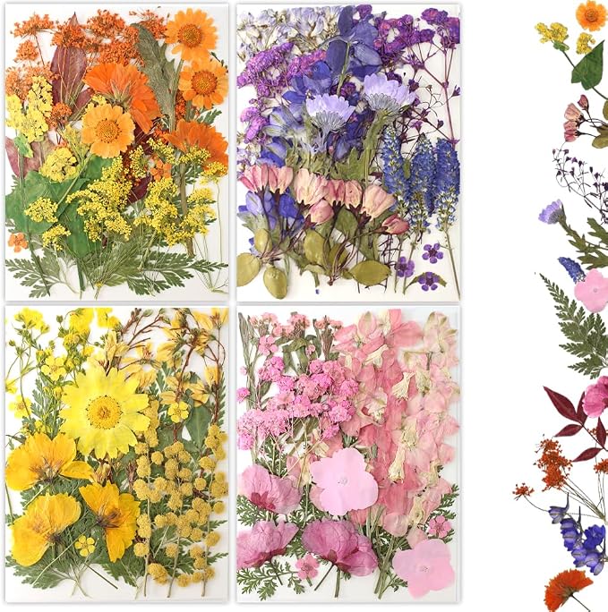 80Pcs Pressed Flowers, Dried Flowers Natural Pressed Flowers Bulk by Buzidao