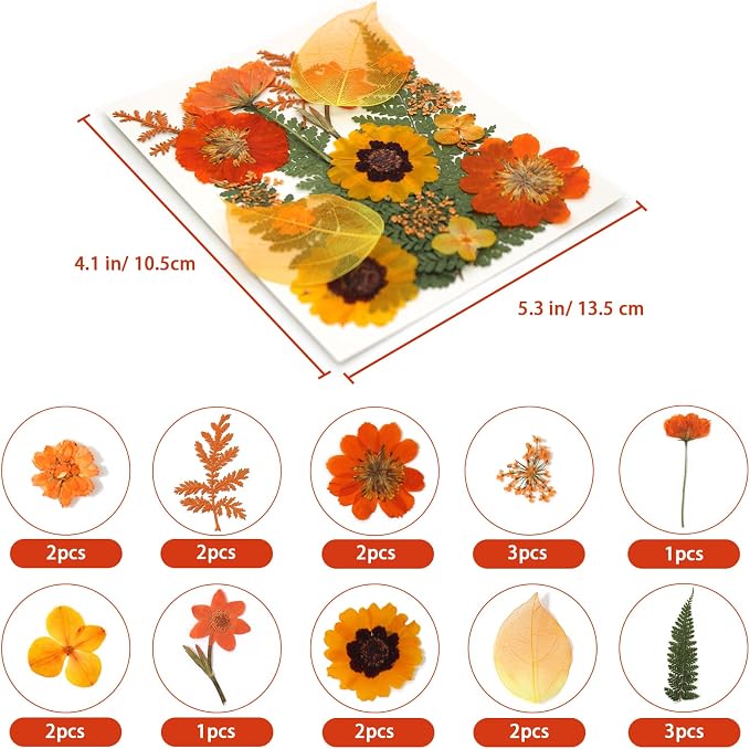Dried Pressed Flowers Real Natural Petals Bulk Dried Leaves Plant - Image 2