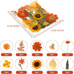Dried Pressed Flowers Real Natural Petals Bulk Dried Leaves Plant - Image 2