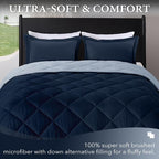 downluxe Queen Comforter Set - Image 2