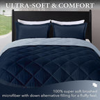 downluxe Full Size Comforter Set - Image 2