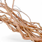 Azil Natural Aquarium Driftwood Root – Driftwood by AzilDriftwoodforAquarium