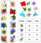 Dried Flowers for Nail Art Resin Jewelry Crafts - Image 5