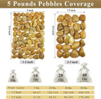 FANTIAN 5 lbs Yellow River Rocks, 2-3 Inch Large Pebbles - Image 3