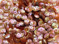 Sequins 8mm 800/Pkg by Golden+Leaf