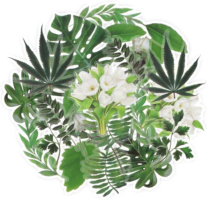 Imeepa 60Pcs Plants Stickers Transparent Scrapbooking Stickers | Waterproof by Imeepa
