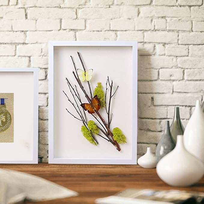 8.5x11 Shadow Box Frame Display Case - Image 3