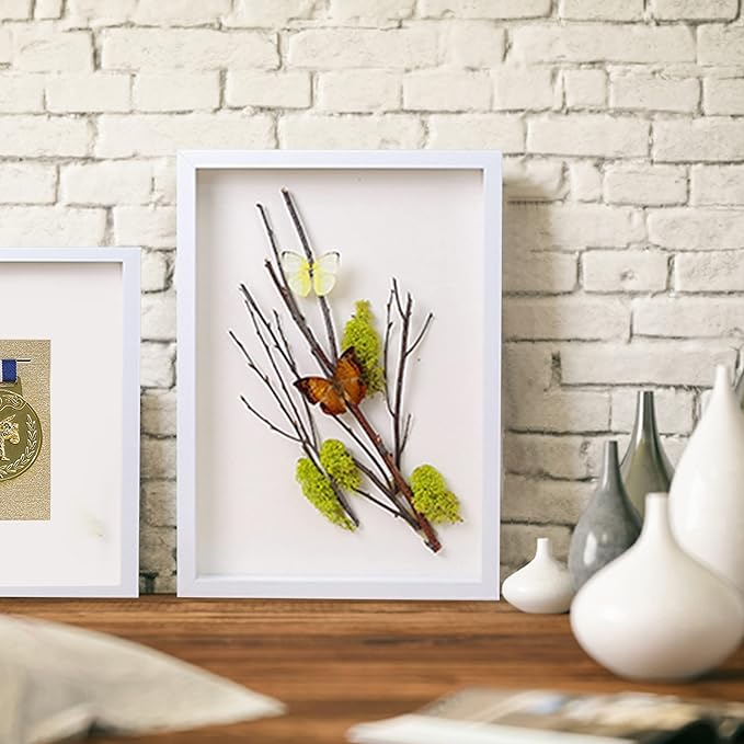 8x10 Shadow Box Frame Display Case - Image 3