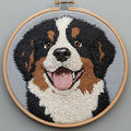 DIY Punch Needle Kits Puppy Bernese Mountain Dog by Unknown