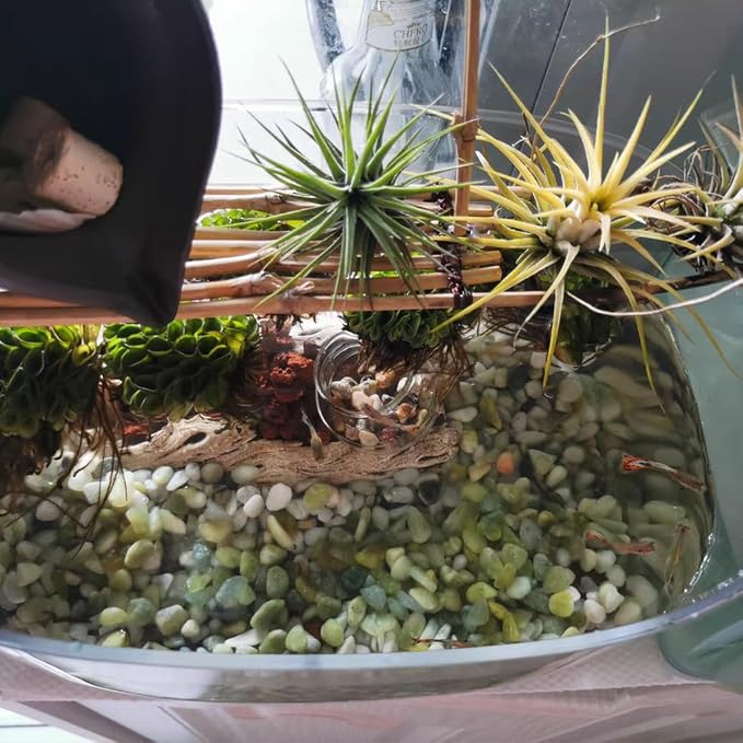 YISZM 10LB Succulent and Cactus Pebbles, 1/5 Inch Jade Natural Decorative - Image 6