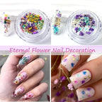 8 Boxs Dried Gypsophila Flowers Nail Art Decoration | Mixed Mini Hydrangea - Image 5