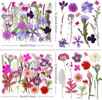 140Pcs Dried Pressed Flowers, Natural Dried Flowers Bulk - Image 3