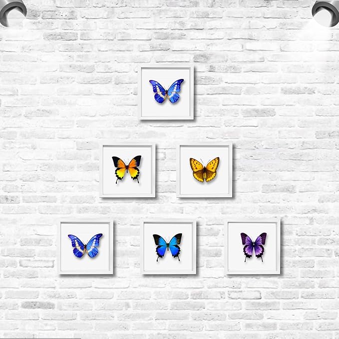5x5 White Small Shadow Box Frame Display Case, Display Case Box - Image 4