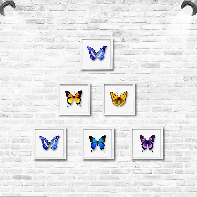 5x5 White Small Shadow Box Frame Display Case, Display Case Box - Image 4