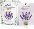 Lavender Scented Sachet Bags - 12 Pack Closet Freshener Odor Eliminator, Long Lasting Home Fragrance for Drawers, Wardrobes & Cars, House Smell Good Products, Air Freshener for Closet