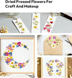 Dried Flowers, Resiners 100Pcs Pressed Flowers - Image 8