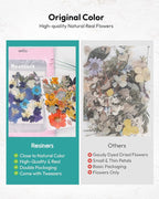 Dried Flowers, Resiners 100Pcs Pressed Flowers - Image 5