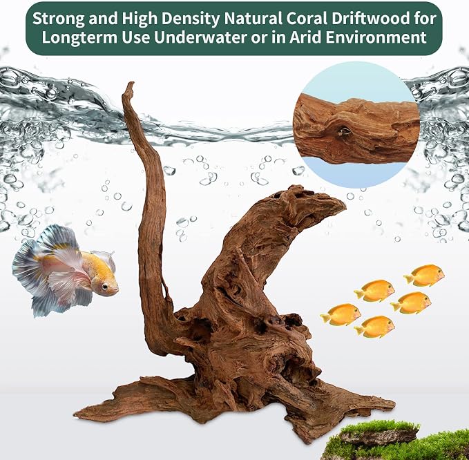Hamiledyi 5 Pcs Driftwood Branches Aquarium Wood Decoration Natural Fish Tank - Image 4