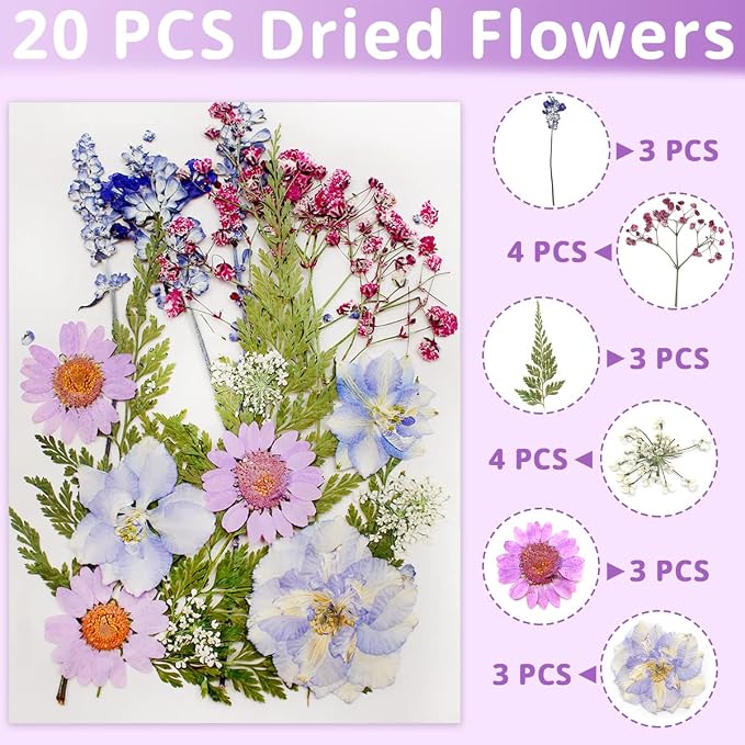 54 Pcs Real Dried Pressed Flowers and Leaves Natural Dried Petals Greenery - Image 2