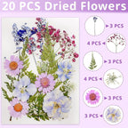 54 Pcs Real Dried Pressed Flowers and Leaves Natural Dried Petals Greenery - Image 2