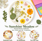 Dried Pressed Flowers for Resin, Scrapbooking, Soap Candle Making, DIY - Image 3