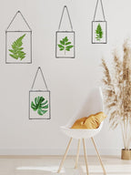 REDHUGO Hanging Pressed Flower Frames, Double Glass Floating Picture Frame - Image 5