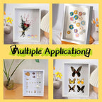 2 Pack 4x6 Shadow Box Frame，HD Glass Wooden Burlywood Hollow Photo Frame - Image 4
