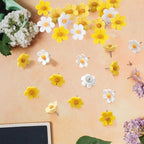 30PCS Cute Push Pins, Bulletin Board Pins, Bulletin Board Decorations, Flower - Image 5
