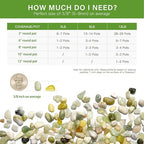NUPICK 6 lbs Pebbles for Indoor Plants, 3/8 Inch Pea Gravel for Fish Tank - Image 6