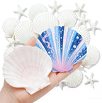 Junkin 40 Pack Natural Scallop Shells and Artificial Starfish - Image 8