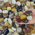 FANTIAN 10 lbs Stones for Plants, 1-2 inch Polished Pebbles for Indoor Plants by FANTIAN-GardeningMakesLifeBetter