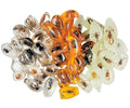 Real Specimens of Various Butterflies and Beetles Made of Resin, Used by Unknown