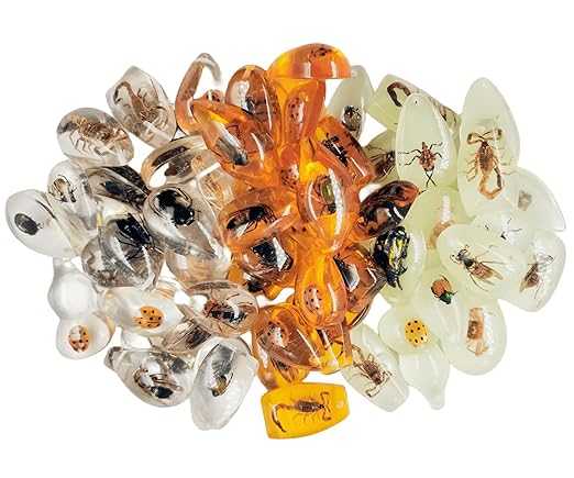 Real Specimens of Various Butterflies and Beetles Made of Resin, Used by Unknown