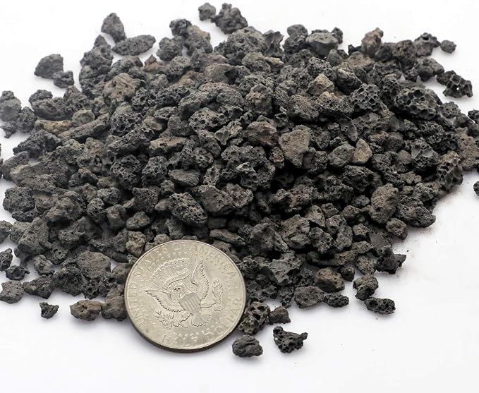 TOYPOPOR Black Horticultural Lava Rock Soil Additive - Image 4